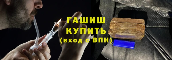 индика Струнино