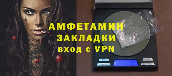 индика Струнино