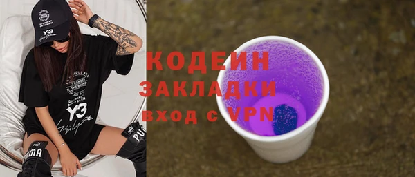 индика Струнино