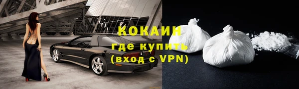 индика Струнино
