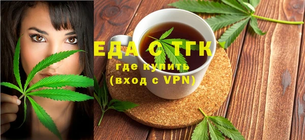 индика Струнино