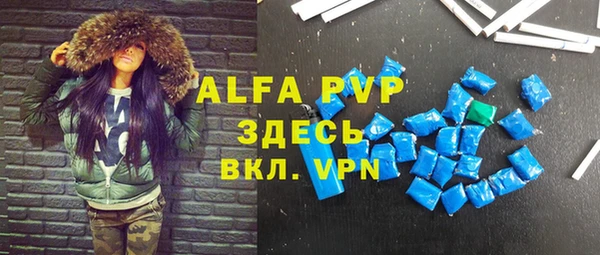 индика Струнино
