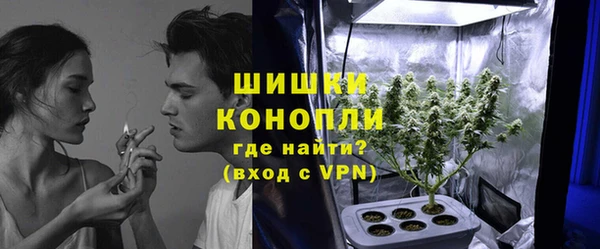 индика Струнино