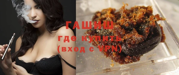 индика Струнино