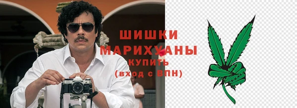 индика Струнино