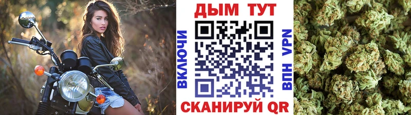 Бошки Шишки семена Заволжье